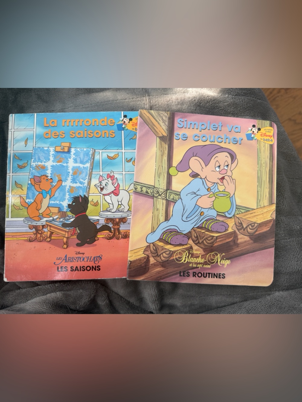 VINTAGE Disney French Board Books Set — Les Saisons & Les Routines